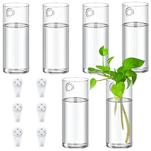 Glass Wall Vase for Plants Indoor Hanging Propagation Planter Container Holder with Plastic Invisible Traceless Hangers Hydroponic Plant Succulent Garden Wedding Decor