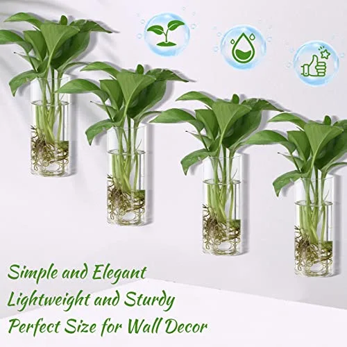 Glass Wall Vase for Plants Indoor Hanging Propagation Planter Container Holder with Plastic Invisible Traceless Hangers Hydroponic Plant Succulent Garden Wedding Decor view 4
