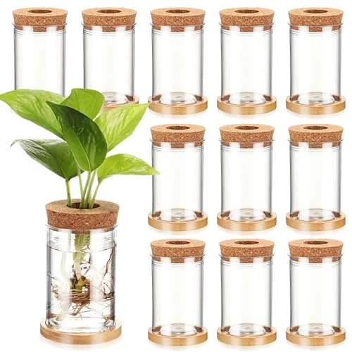 Propagation Vases for Plants Plastic Plant Propagation with Hole Lid and Bamboo Stand Growing in Water Hydroponic Home Office Desktop Vase Decoration(Classic Style)