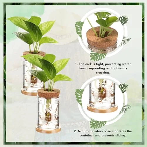 Propagation Vases for Plants Plastic Plant Propagation with Hole Lid and Bamboo Stand Growing in Water Hydroponic Home Office Desktop Vase Decoration(Classic Style) view 3