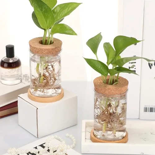 Propagation Vases for Plants Plastic Plant Propagation with Hole Lid and Bamboo Stand Growing in Water Hydroponic Home Office Desktop Vase Decoration(Classic Style) view 5