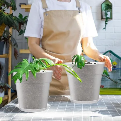 Nursery Pot,9.65 Inches view 4