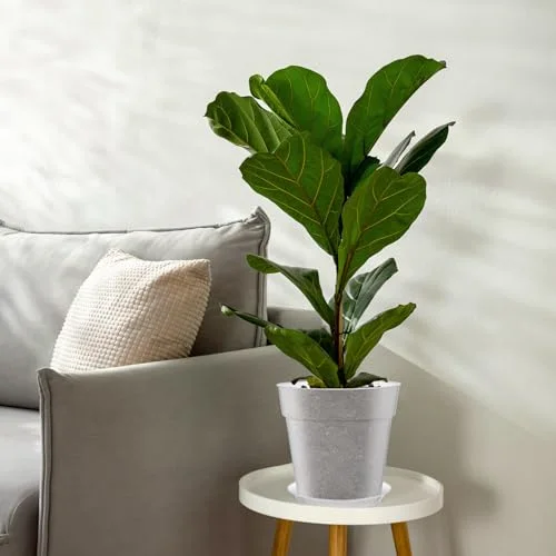 Nursery Pot,9.65 Inches view 5