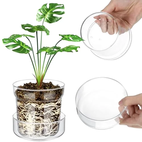 Glass Plant Pots with Saucer, Flower Nursery Plant Pots with Drainage for Flower Seed Starter Transparent Seedling ()