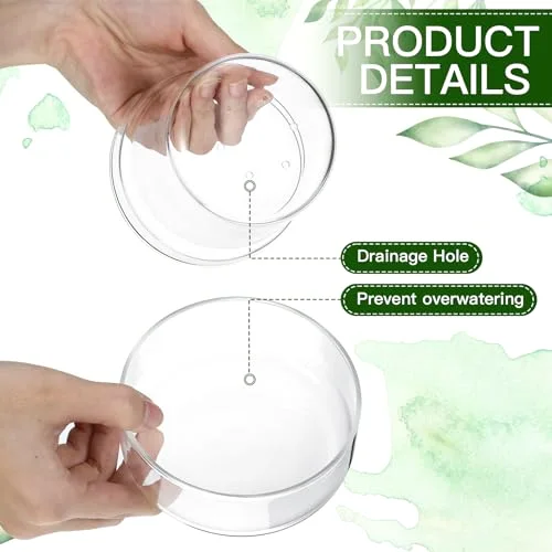 Glass Plant Pots with Saucer, Flower Nursery Plant Pots with Drainage for Flower Seed Starter Transparent Seedling () view 3
