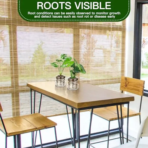 Glass Plant Pots with Saucer, Flower Nursery Plant Pots with Drainage for Flower Seed Starter Transparent Seedling () view 5
