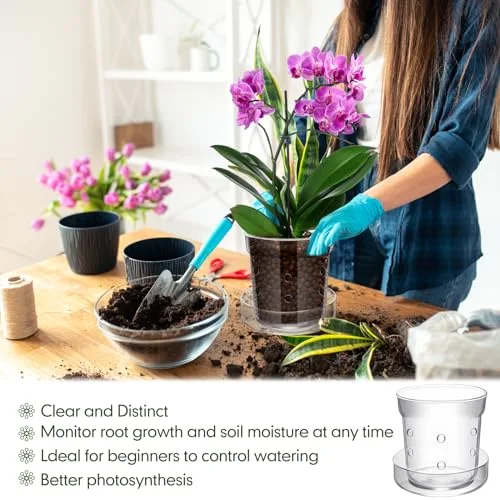 Orchid Pot with Drainage Holes and Tray Transparent Glass Pot Planter for Orchids Flower Repotting Anti Slip Glass Plant Vase for Indoor Outdoor Home Decor () view 4