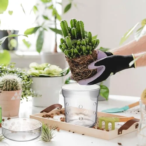 Orchid Pot with Drainage Holes and Tray Transparent Glass Pot Planter for Orchids Flower Repotting Anti Slip Glass Plant Vase for Indoor Outdoor Home Decor () view 5