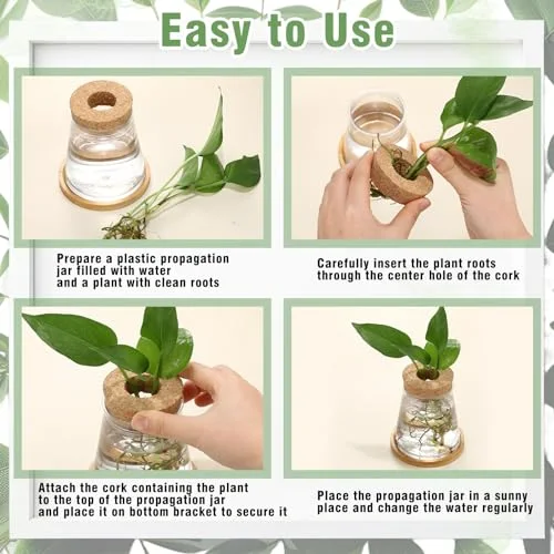 Propagation Vases for Plants Plastic Plant Propagation with Hole Lid and Bamboo Stand Growing in Water Hydroponic Home Office Desktop Vase Decoration(Classic Style) view 10