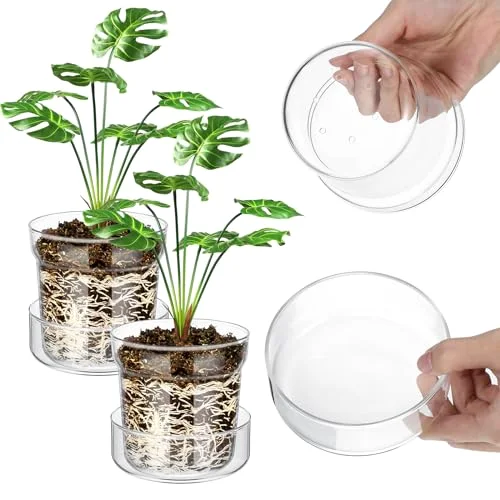 Glass Plant Pots with Saucer, Flower Nursery Plant Pots with Drainage for Flower Seed Starter Transparent Seedling () view 6