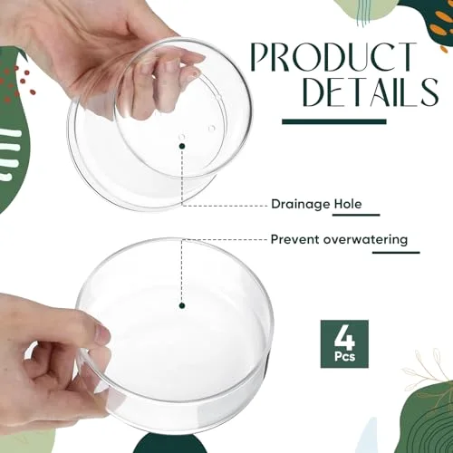 Glass Plant Pots with Saucer, Flower Nursery Plant Pots with Drainage for Flower Seed Starter Transparent Seedling () view 8