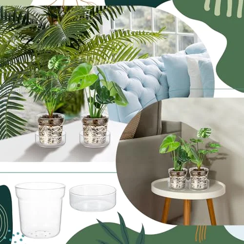 Glass Plant Pots with Saucer, Flower Nursery Plant Pots with Drainage for Flower Seed Starter Transparent Seedling () view 10