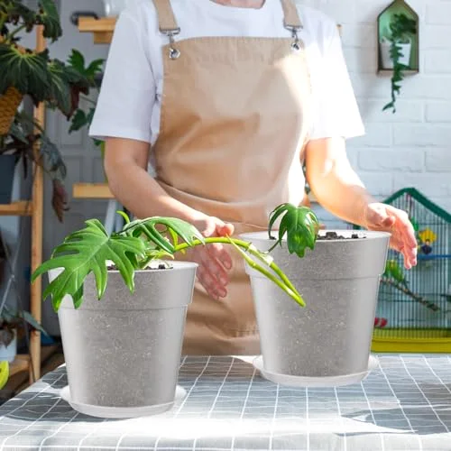 Nursery Pot,9.25 Inches view 4