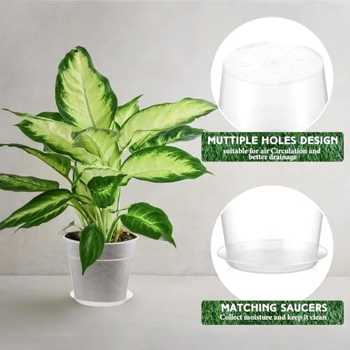 Nursery Pot,8 Inches,9.25 Inches view 3