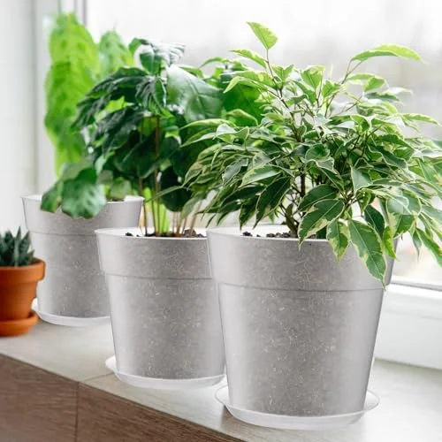 Nursery Pot,8 Inches,9.25 Inches view 4