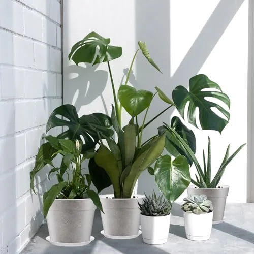 Nursery Pot,9.25 Inches,9.65 Inches view 4