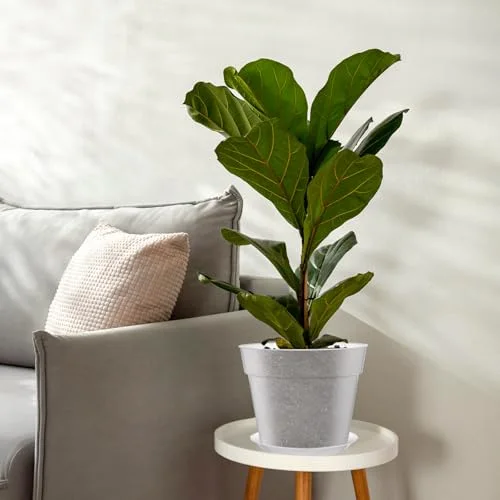 Nursery Pot,9.25 Inches,9.65 Inches view 5