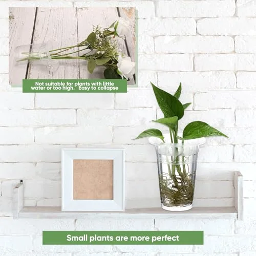 Plastic Plant Propagation Vase for Indoor Decor, 4.57'' view 2