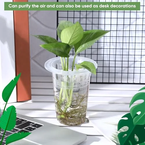 Plastic Plant Propagation Vase for Indoor Decor, 4.57'' view 5