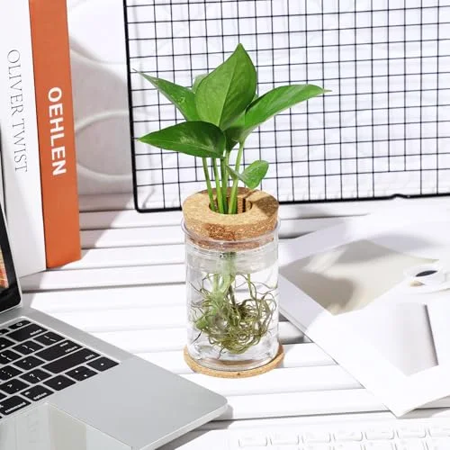 Plastic Desktop Plant Terrariums Propagation Planter Tabletop Planting Vase with Lid and Cork Plant Coasters for Growing Hydroponic Home Office Table Decoration (Diamond Style) view 8