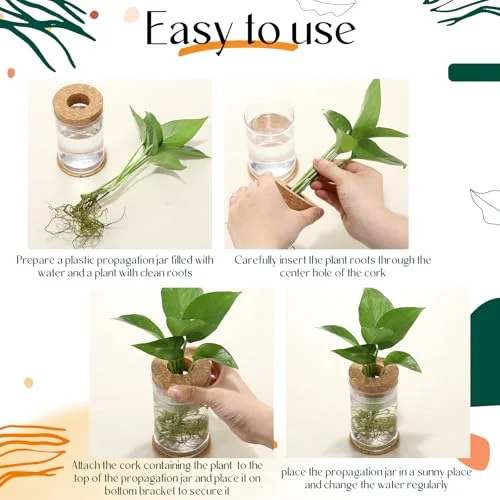 Plastic Desktop Plant Terrariums Propagation Planter Tabletop Planting Vase with Lid and Cork Plant Coasters for Growing Hydroponic Home Office Table Decoration (Diamond Style) view 9