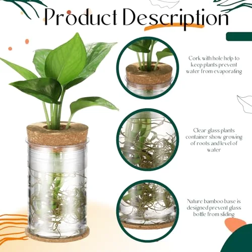 Plastic Desktop Plant Terrariums Propagation Planter Tabletop Planting Vase with Lid and Cork Plant Coasters for Growing Hydroponic Home Office Table Decoration (Diamond Style) view 10