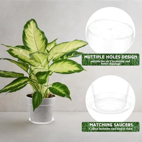 Nursery Pot,8 Inches view 3