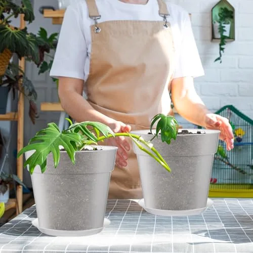 Nursery Pot,8 Inches view 5