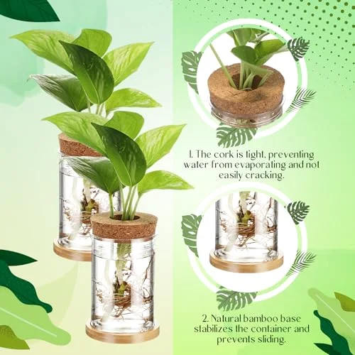 Propagation Vases for Plants Plastic Plant Propagation Station with Hole Lid and Bamboo Stand Growing in Water Hydroponic Home Office Table Decoration(Classic Style) view 9