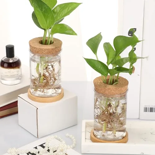 Propagation Vases for Plants Plastic Plant Propagation Station with Hole Lid and Bamboo Stand Growing in Water Hydroponic Home Office Table Decoration(Classic Style) view 10