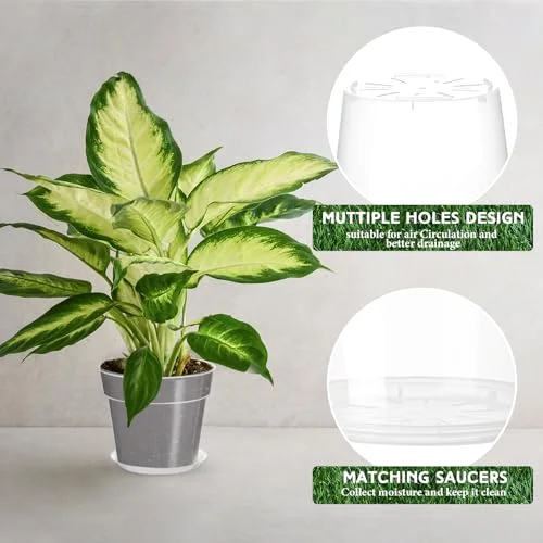 Nursery Pot,11.65 Inches view 4