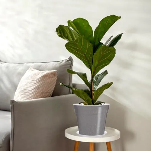 Nursery Pot,11.65 Inches view 5