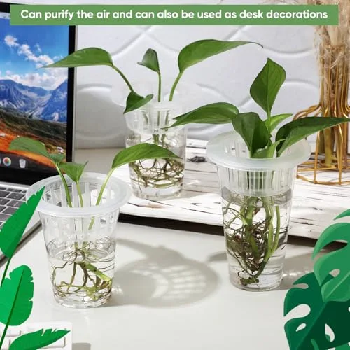 Plastic Plant Propagation Station Desktop Terrariums Plant Tabletop Vase with Hydroponic Baskets for Indoor Home Office Desktop Decor (4.25'',4.57'',5.47'') view 5