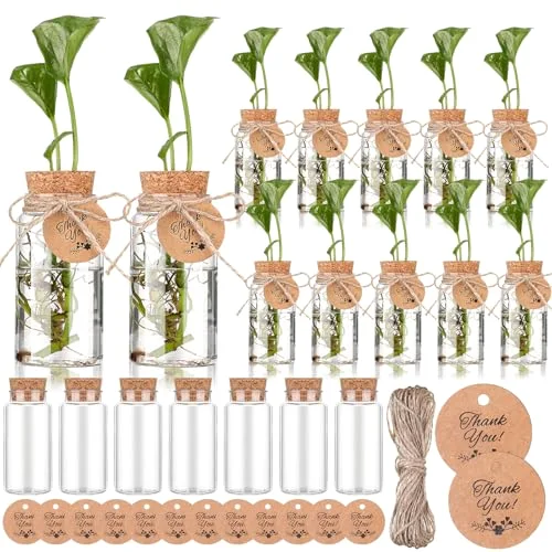 3.54'' Plastic Plant Propagation Stations with Hole Lid Planter Vase Propagation Jars with Thank You Tags for Plant Lover Gifts for Women Office Home Garden()