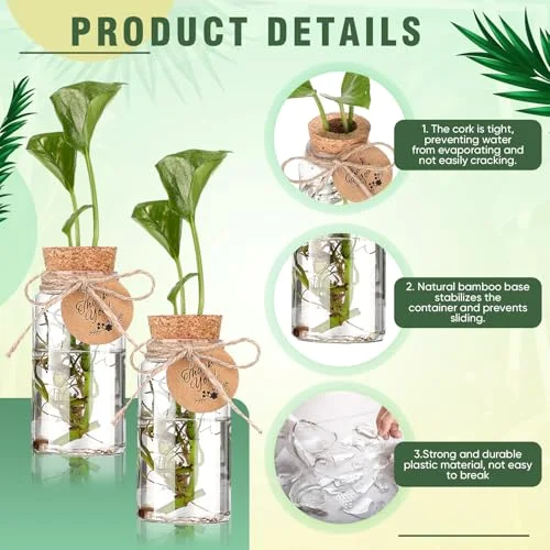 3.54'' Plastic Plant Propagation Stations with Hole Lid Planter Vase Propagation Jars with Thank You Tags for Plant Lover Gifts for Women Office Home Garden() view 3