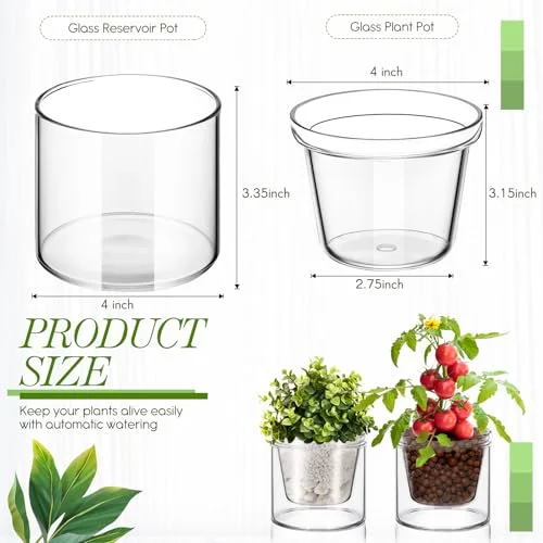 Self Watering Pot for Indoor Plants Glass Planter Small Plant Pot with Saucer Reservoir Drainage Holes Bottom Watering Pot for African Violet Orchid Flowers Houseplant view 2