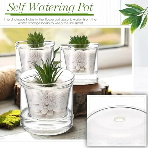 Self Watering Pot for Indoor Plants Glass Planter Small Plant Pot with Saucer Reservoir Drainage Holes Bottom Watering Pot for African Violet Orchid Flowers Houseplant view 3