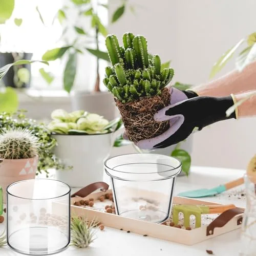 Self Watering Pot for Indoor Plants Glass Planter Small Plant Pot with Saucer Reservoir Drainage Holes Bottom Watering Pot for African Violet Orchid Flowers Houseplant view 5