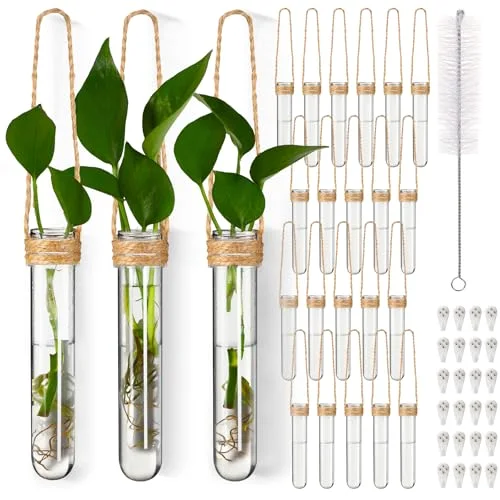 Plastic Hanging Propagation Tubes Propagation Station Vases Wall Hanging Plant Vase for Planters Hydroponic Office Garden Flowers Decor Lover Gift ( Color) view 6