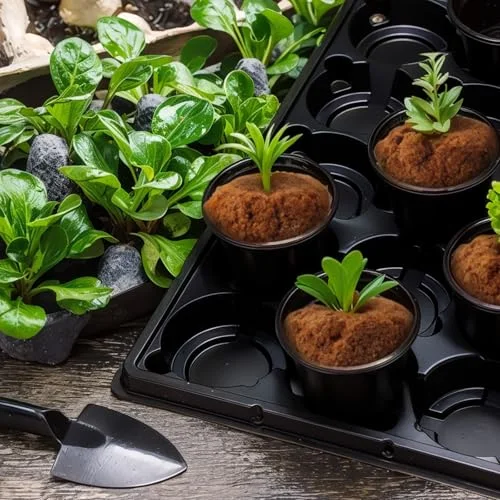 15 Cell Round Nursery Pots Trays Thickened Durable Seedling Pots Carrying Trays for Holding Nursery Pot view 5
