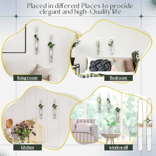 Window Propagation Stations Plastic Window Planter with Suction Cups & Traceless Nails, Propagated Plant Holders with Bottle Brush, Hanging Vases Terrarium Gift (5.5''& 5"& 3.7'') view 9
