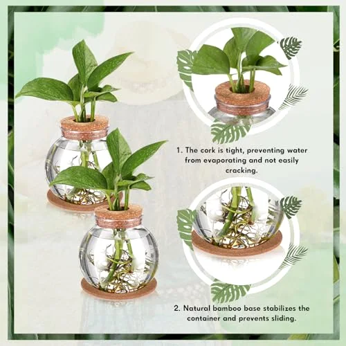 Propagation Vases for Plants Plastic Plant Propagation Station with Hole Lid and Bamboo Stand Growing in Water Hydroponic Home Office Table Decoration(Classic Style) view 3