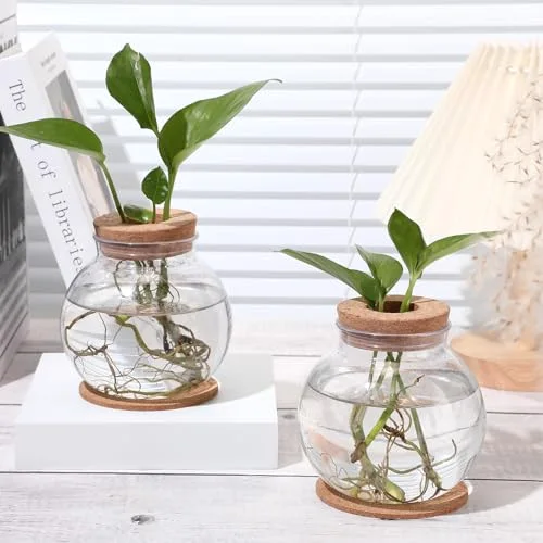 Propagation Vases for Plants Plastic Plant Propagation Station with Hole Lid and Bamboo Stand Growing in Water Hydroponic Home Office Table Decoration(Classic Style) view 5
