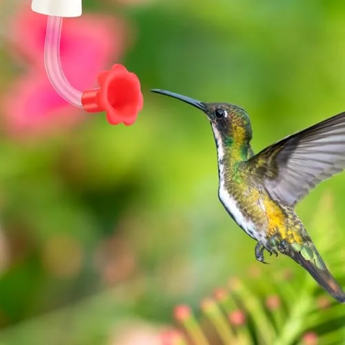 Hummingbird Feeder Tube with Stopper Handheld Bird Feeder Replacement Parts Drip Resistant Tip Silicone Flowers for Wine Bottle Outdoor Bird Feeders() view 5