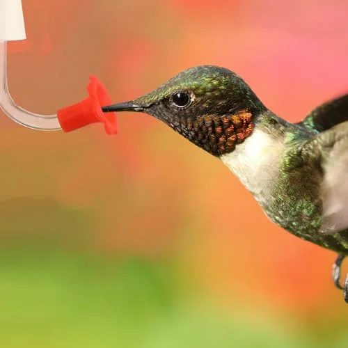 Hummingbird Feeder Tube with Stopper Handheld Bird Feeder Replacement Parts Drip Resistant Tip Silicone Flowers for Wine Bottle Outdoor Bird Feeders() view 10