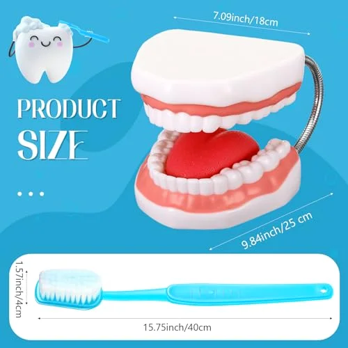 Huge Mouth Model with Hinge and Giant Toothbrush Set for Speech Therapy, Brushing Teaching Dental Teeth Model, Dental Hospital Health Education Tool() view 2