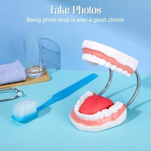 Huge Mouth Model with Hinge and Giant Toothbrush Set for Speech Therapy, Brushing Teaching Dental Teeth Model, Dental Hospital Health Education Tool() view 4