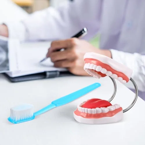 Huge Mouth Model with Hinge and Giant Toothbrush Set for Speech Therapy, Brushing Teaching Dental Teeth Model, Dental Hospital Health Education Tool() view 5