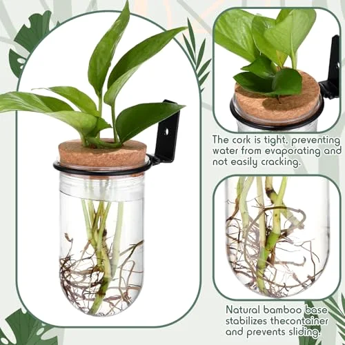 Wall Plant Holder with Plastic Propagation Vases Hanging Planter Wall Mounted Set for Plants Growing in Water Hydroponic Artificial Plants Indoor Decor (2.48" X 4.72",Test Tube) view 3