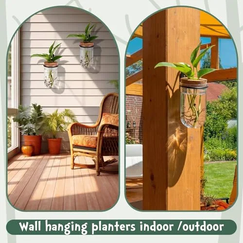 Wall Plant Holder with Plastic Propagation Vases Hanging Planter Wall Mounted Set for Plants Growing in Water Hydroponic Artificial Plants Indoor Decor (2.48" X 4.72",Test Tube) view 4